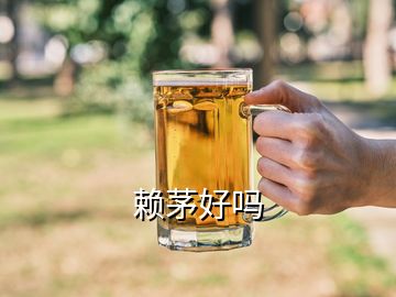 賴茅好嗎