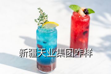 新疆天業(yè)集團(tuán)咋樣