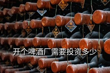 開個啤酒廠需要投資多少