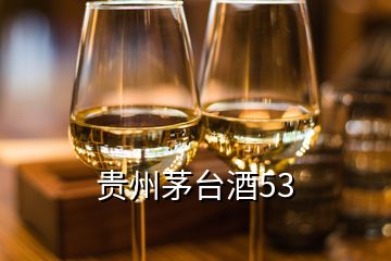 貴州茅臺(tái)酒53