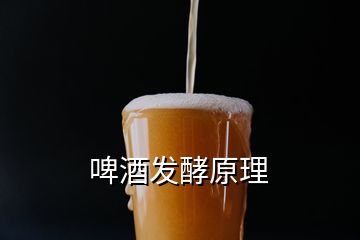 啤酒發(fā)酵原理