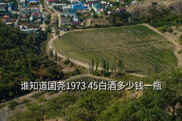 誰知道國堯1973 45白酒多少錢一瓶