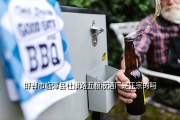 邯鄲市臨漳縣杜康路五糧液酒廠是正宗的嗎