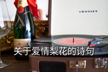 關于愛情梨花的詩句