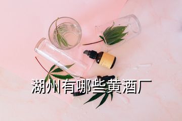 湖州有哪些黃酒廠