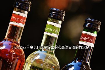 湯溝酒業(yè)董事長何繼平提出的次高端白酒的概念是什么