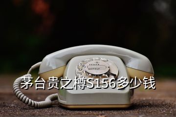 茅臺貴之樽S156多少錢