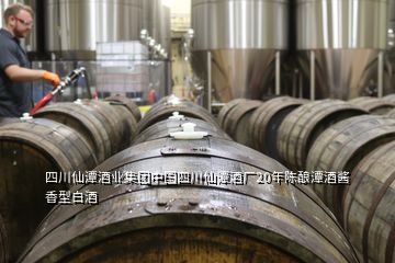 四川仙潭酒業(yè)集團(tuán)中國四川仙潭酒廠20年陳釀潭酒醬香型白酒