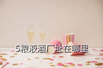 5糧液酒廠址在哪里