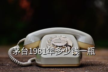 茅臺1981年多少錢一瓶