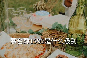 茅臺醇1992是什么級別