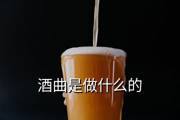 酒曲是做什么的