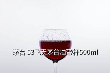 茅臺(tái) 53飛天茅臺(tái)酒帶杯500ml