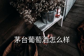 茅臺葡萄酒怎么樣