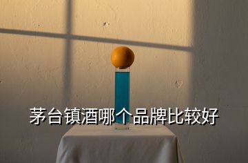 茅臺(tái)鎮(zhèn)酒哪個(gè)品牌比較好