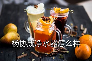 楊協(xié)成凈水器怎么樣