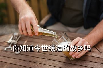 你知道今世緣酒的故鄉(xiāng)嗎