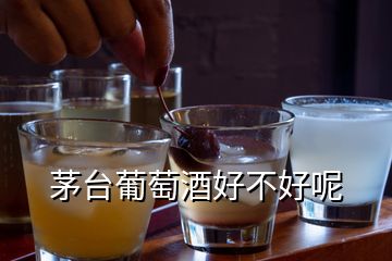 茅臺(tái)葡萄酒好不好呢