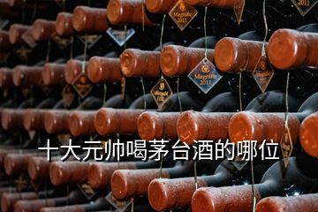 十大元帥喝茅臺酒的哪位