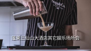 蓬萊三仙山大酒店其它娛樂(lè)場(chǎng)所會(huì)