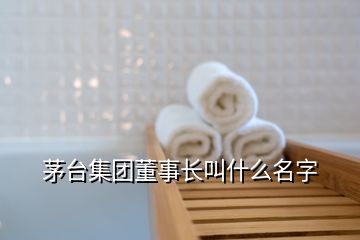 茅臺集團董事長叫什么名字