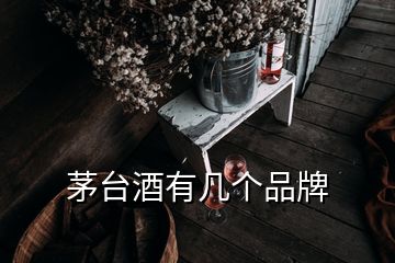 茅臺酒有幾個(gè)品牌