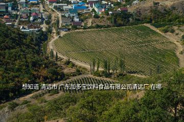 想知道 清遠(yuǎn)市 廣東加多寶飲料食品有限公司清遠(yuǎn)廠 在哪