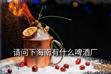 請(qǐng)問(wèn)下海南有什么啤酒廠