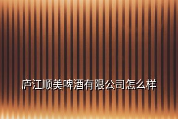 廬江順美啤酒有限公司怎么樣