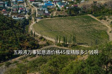 五糧液萬事如意酒價格45度精釀多少錢啊