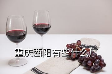 重慶酉陽(yáng)有些什么廠