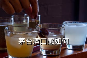 茅臺(tái)酒口感如何