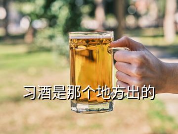 習(xí)酒是那個(gè)地方出的