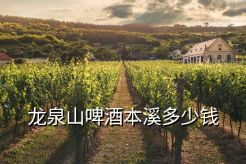 龍泉山啤酒本溪多少錢