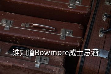 誰知道Bowmore威士忌酒