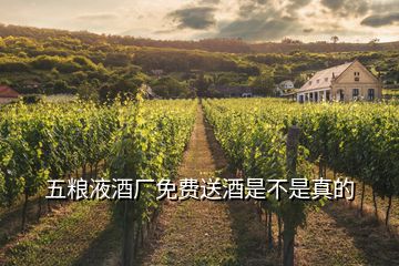 五糧液酒廠免費送酒是不是真的