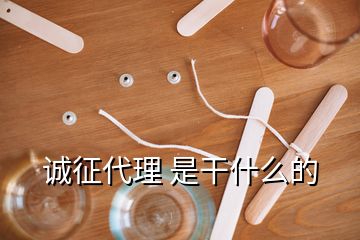 誠(chéng)征代理 是干什么的