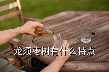 龍須棗樹有什么特點(diǎn)