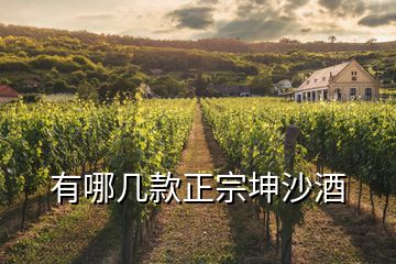 有哪幾款正宗坤沙酒