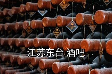 江蘇東臺 酒吧