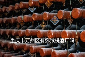 重慶市萬(wàn)州區(qū)有彌猴桃酒廠嗎