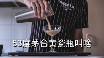 53度茅臺(tái)黃瓷瓶叫啥