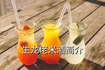 生龍佬米酒簡(jiǎn)介