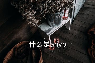 什么是anyp