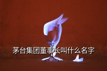 茅臺集團(tuán)董事長叫什么名字