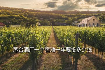 茅臺酒廠一個窖池一年要投多少錢