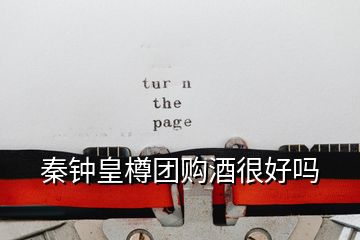 秦鐘皇樽團(tuán)購(gòu)酒很好嗎