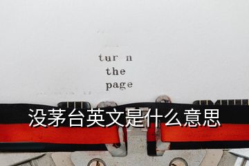 沒茅臺(tái)英文是什么意思