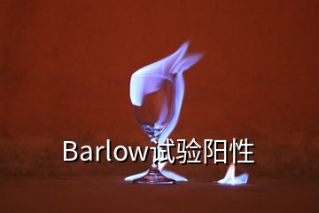 Barlow試驗陽性