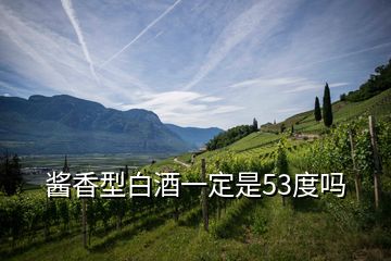 醬香型白酒一定是53度嗎